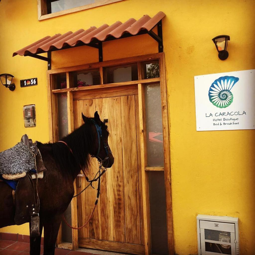 Hotel La Caracola Σαλέντο Εξωτερικό φωτογραφία